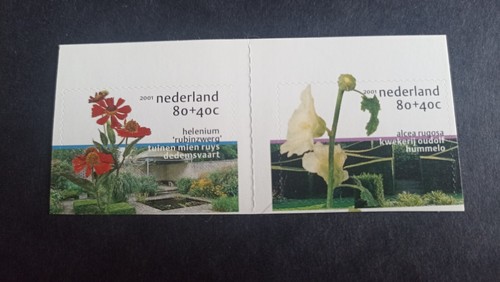 Pays bas theme - pays, 2001