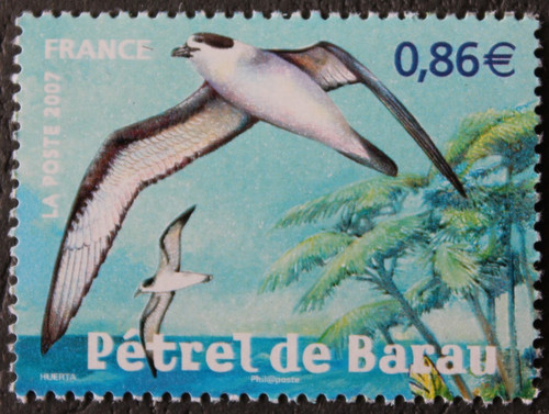 Timbre france pétrel de - -,