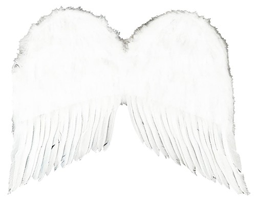 Costume aile plume 22 - d'aile, en