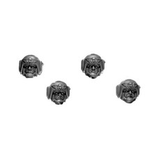 GCD05 TETE x4 CADIEN GARDE