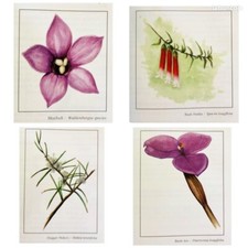 SUR LE CHEMIN DES ELIXIRS