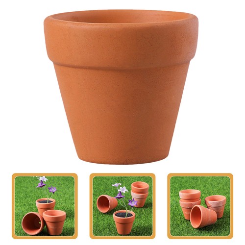 Pcs pots succulentes - pcs, À
