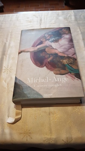 Livre michel ange zollner - ange,