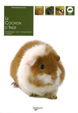 Le cochon d'Inde - Germain