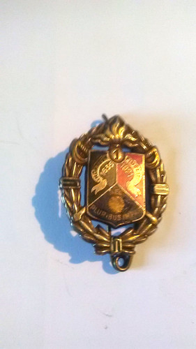Insigne pucelle militaire - pucelle, militaire(1