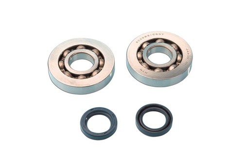 Kit roulements pour gilera - roulements,