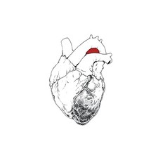 SWANS - BEGGAR - CD ALBUM - 74