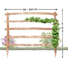 Support pour Plantes Grimpantes Bois Treillis Fleurs Treillage Arc Rose Jardin