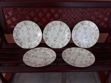 Lot 5 Assiettes Plates