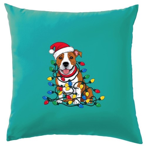 Staffordshire bull terrier - bull,