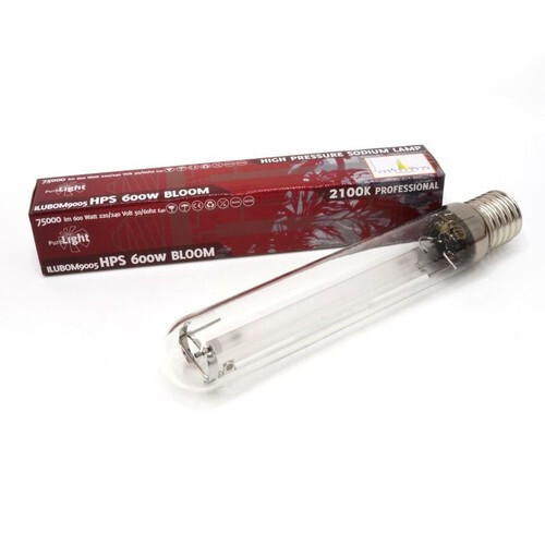 Bombilla pure light 600w - bombilla,