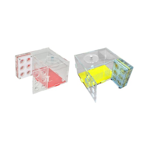 Nid fourmis transparent et - de,