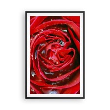 Affiche Poster 61x91cm