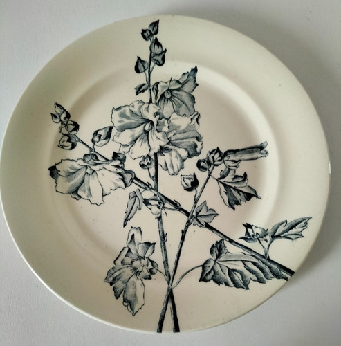 Plat terre fer salins - plat,