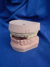 CURIOSITE / Curiosity - MODELE DENTAIRE / Dental model
