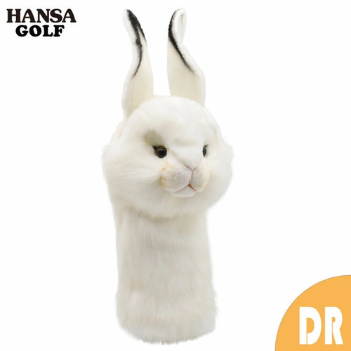 Hansa white rabbit - hansa,