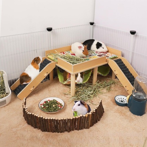Accessoire cage cochon inde - accessoire,