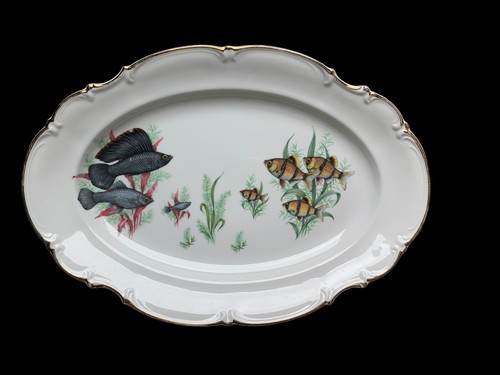 Plat poisson porcelaine - plat,