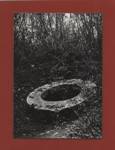 Travers les ruines du - les,