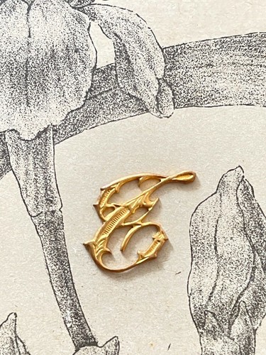 Joli monogramme métal - en,