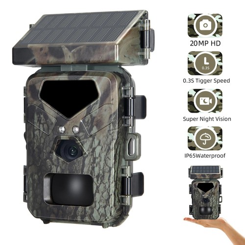 Caméra chasse piège - caméra, de