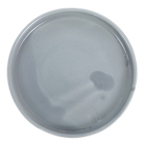Soucoupes pots fleurs - pots,