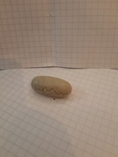 Playmobil dinosaures oeuf de