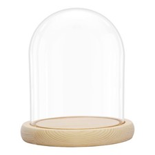 Belle Vous Cloche en Verre avec Socle en Bois Naturel - 16,2 cm de Haut - Mini