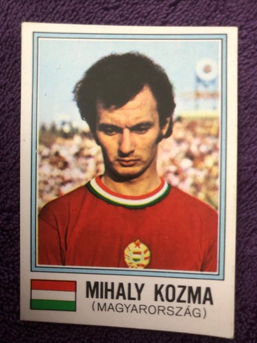 Panini image coupe - image,