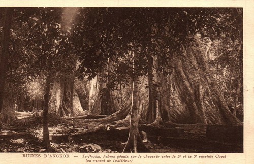 Cpa cambodge angkor - cpa,