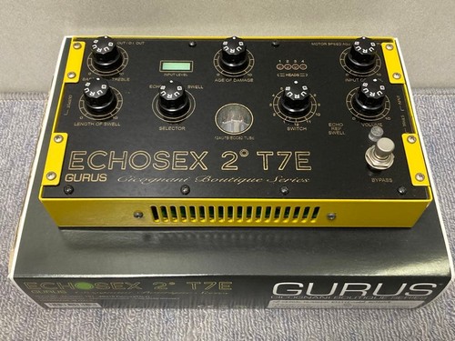 Gurus echosex t7e 010 - gurus, #010
