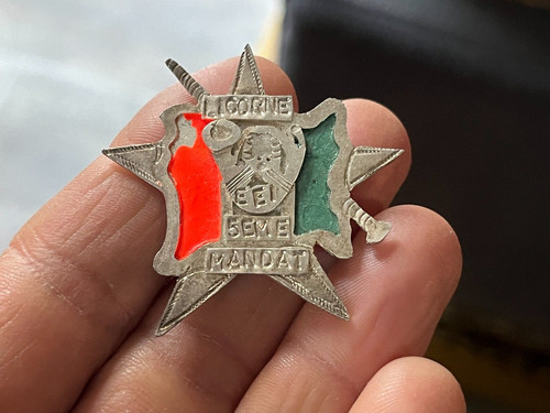 Insigne chasseurs eei - insigne,