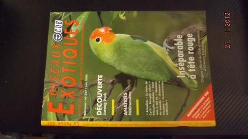 Revue oiseaux exotiques - gc,