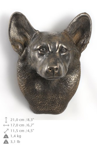 Chien pembroke welsh corgi - chien,