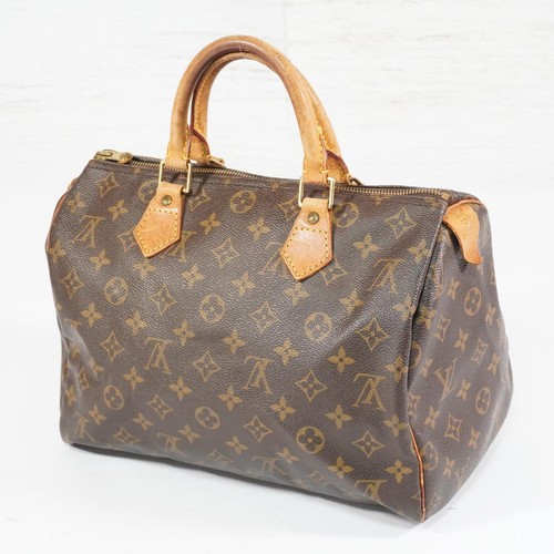 Sac main louis vuitton - main,