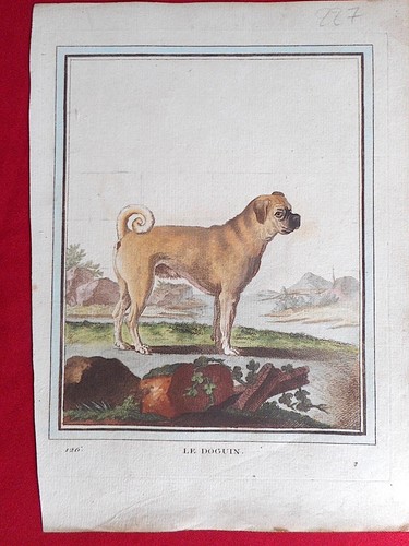 227 gravure xviiie histoire - 227,