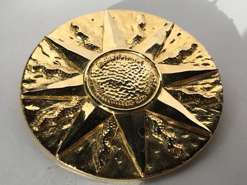 Rare broche institut esthederm - rare,