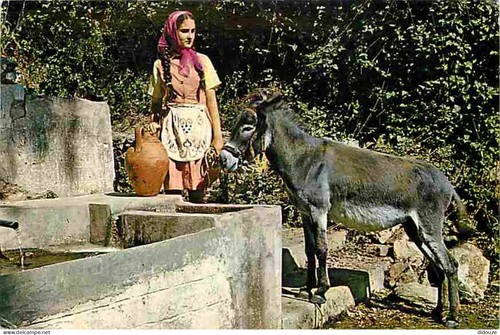 Carte postale animaux anes - carte,