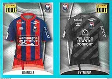 Stickers Panini France Foot