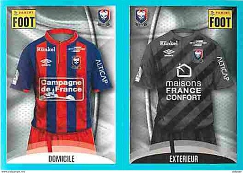Stickers panini france foot - panini,