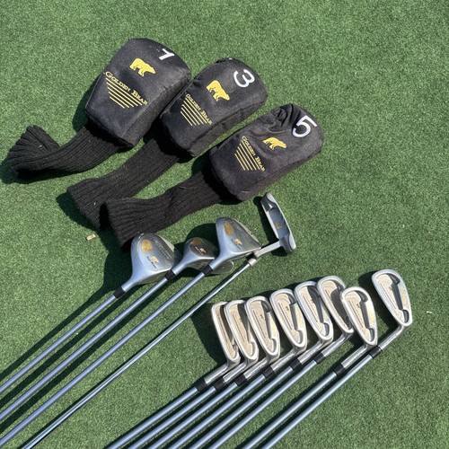 Ladies golden bear - bear, accuforce
