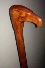 Canne à tête de canard