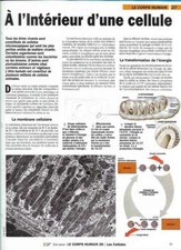 Fascicule Notre Monde - Le corps Humain - A l' intérieur d'une cellule