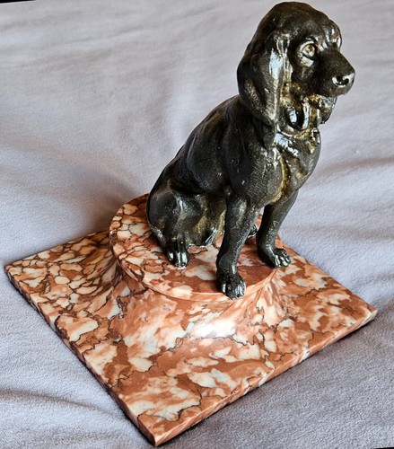 Chien chasse régule sur - régule,