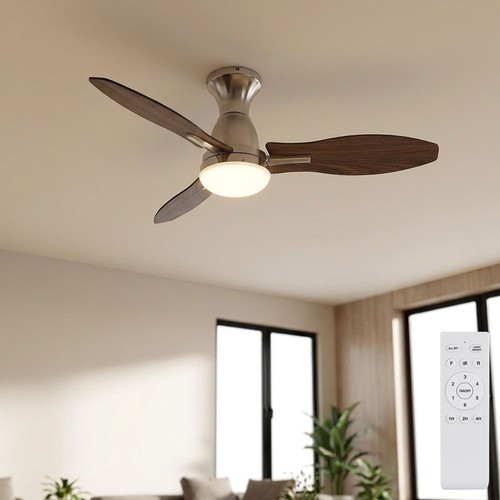 Ventilateur plafond - ventilateur,