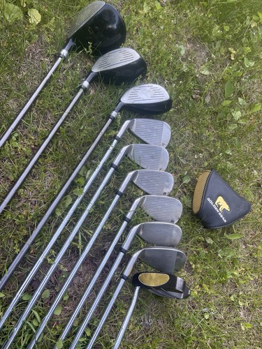Golden bear accuforce - bear,
