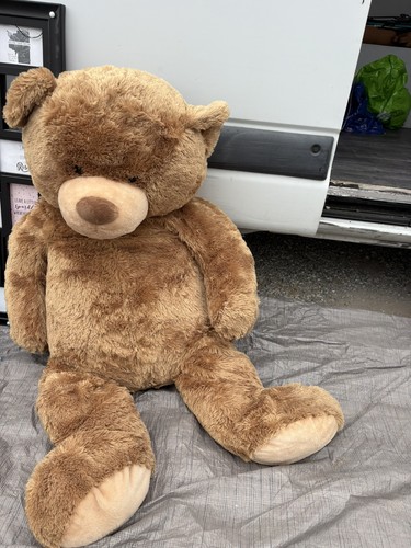 Gros nounours - gros, 🧸