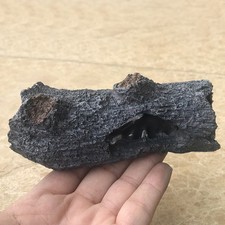  Habitat Des Poissons Décoration Aquarium Arbre Cachettes D'aquarium Du Betta