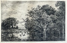 Charles Francois Daubigny Gravure eau forte Alsace le marais aux cigognes