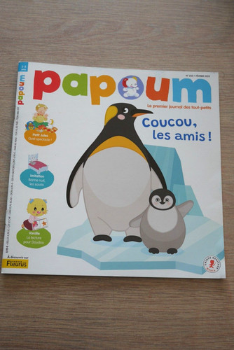 Revue papoum 260 - n°,